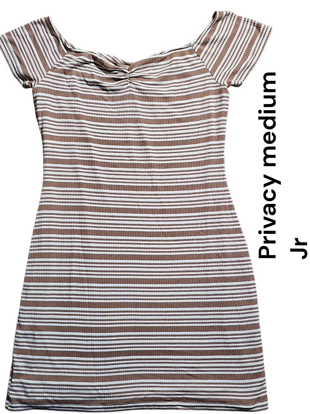 Privacy Please Brown & White Striped Mini Dress